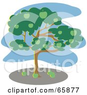 Poster, Art Print Of Green Apple Tree With A Blue Sky