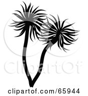 Royalty Free RF Clipart Illustration Of A Silhouetted Palm Tree With Two Trunks by Prawny