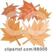 Group Of Orange Autumn Leaves