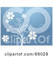 Poster, Art Print Of Blue Floral Background With White Flowers