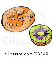 Royalty Free RF Clipart Illustration Of A Sketched Kiwi Fruit