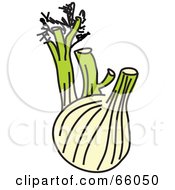 Poster, Art Print Of Fennel