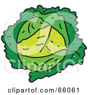 Royalty Free RF Clipart Illustration Of A Head Of Green Cabbage by Prawny