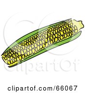 Royalty Free RF Clipart Illustration Of A Yellow Corn On The Cop With Green Husks