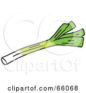 Royalty Free RF Clipart Illustration Of A Leek Stalk