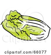 Royalty Free RF Clipart Illustration Of A Head Of Chinese Cabbage