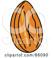Royalty Free RF Clipart Illustration Of A Raw Single Almond