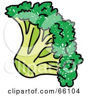 Royalty Free RF Clipart Illustration Of A Head Of Green Broccoli by Prawny