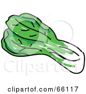 Royalty Free RF Clipart Illustration Of A Head Of Snow Cabbage