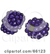 Royalty Free RF Clipart Illustration Of Two Sketched Blackberries