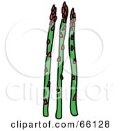 Royalty Free RF Clipart Illustration Of Three Asparagus Spears