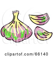 Royalty Free RF Clipart Illustration Of A Sketched Garlic Bulb