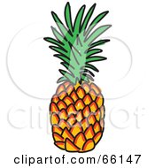Poster, Art Print Of Sketched Pineapple