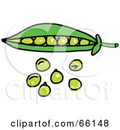 Royalty Free RF Clipart Illustration Of A Green Pea Pod And Peas