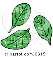 Three Spinach Leaves