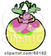 Sketched Turnip
