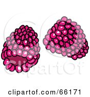 Poster, Art Print Of Sketched Raspberries