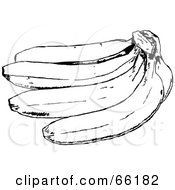 Royalty Free RF Clipart Illustration Of A Black And White Banana Bunch by Prawny