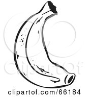 Royalty Free RF Clipart Illustration Of A Black And White Curved Banana by Prawny