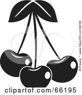 Poster, Art Print Of Three Black And White Shiny Cherries