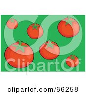 Poster, Art Print Of Ripe Red Tomatoes On Green