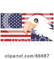 Poster, Art Print Of Majestic Bald Eagle And American Flag