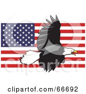 Poster, Art Print Of Majestic Bald Eagle Flying Over An American Flag