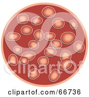 Poster, Art Print Of Circle Of Red Blood Cells