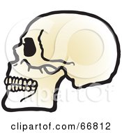 Royalty Free RF Clipart Illustration Of A Profiled Human Skull With Teeth