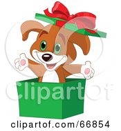 Poster, Art Print Of Cute Puppy Popping Out Of A Green Christmas Box