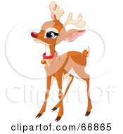 Poster, Art Print Of Baby Reindeer With A Red Nose And Bell Collar