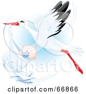 Beautiful Stork Delivery A Baby Boy