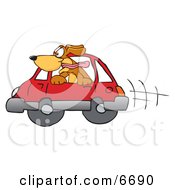 Brown Dog Mascot Cartoon Character Sticking His Head Out Of A Car Window Clipart Picture