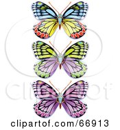 Poster, Art Print Of Digital Collage Of Three Colorful Butterfly Bugs