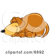 Brown Dog Mascot Cartoon Character Curled Up And Sleeping by Toons4Biz