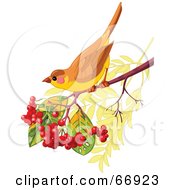 Poster, Art Print Of Autumn Bird Perched On A Branch With Berries