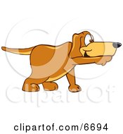 Brown Dog Mascot Cartoon Character Pointing While Sniffing Something Out