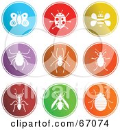 Poster, Art Print Of Digital Collage Of Round Colorful Insect Buttons
