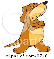 Brown Dog Mascot Cartoon Character With Crossed Arms Disobeying Commands Clipart Picture by Toons4Biz