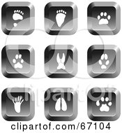 Royalty Free RF Clipart Illustration Of A Digital Collage Of Square Chrome Animal Track Buttons