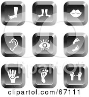 Royalty Free RF Clipart Illustration Of A Digital Collage Of Chrome Square Anatomy Buttons