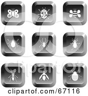 Poster, Art Print Of Digital Collage Of Square Chrome Insect Buttons