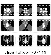 Royalty Free RF Clipart Illustration Of A Digital Collage Of Black And White Film Strip Insect Buttons