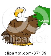 Poster, Art Print Of Bald Eagle Holding A Green State Of Alaska