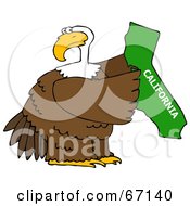 Royalty Free RF Clipart Illustration Of A Bald Eagle Holding A Green State Of California