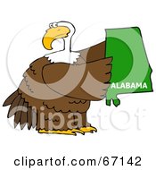 Poster, Art Print Of Bald Eagle Holding A Green State Of Alabama