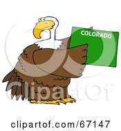 Royalty Free RF Clipart Illustration Of A Bald Eagle Holding A Green State Of Colorado by djart