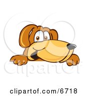 Poster, Art Print Of Brown Dog Mascot Cartoon Character Peeking Over A Surface