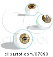 Poster, Art Print Of Three Brown Eyeballs