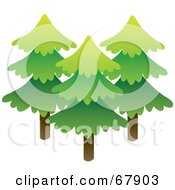 Poster, Art Print Of Three Tall Evergreen Trees